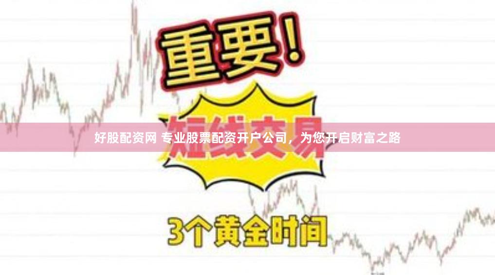 好股配资网 专业股票配资开户公司,为您开启财富之路